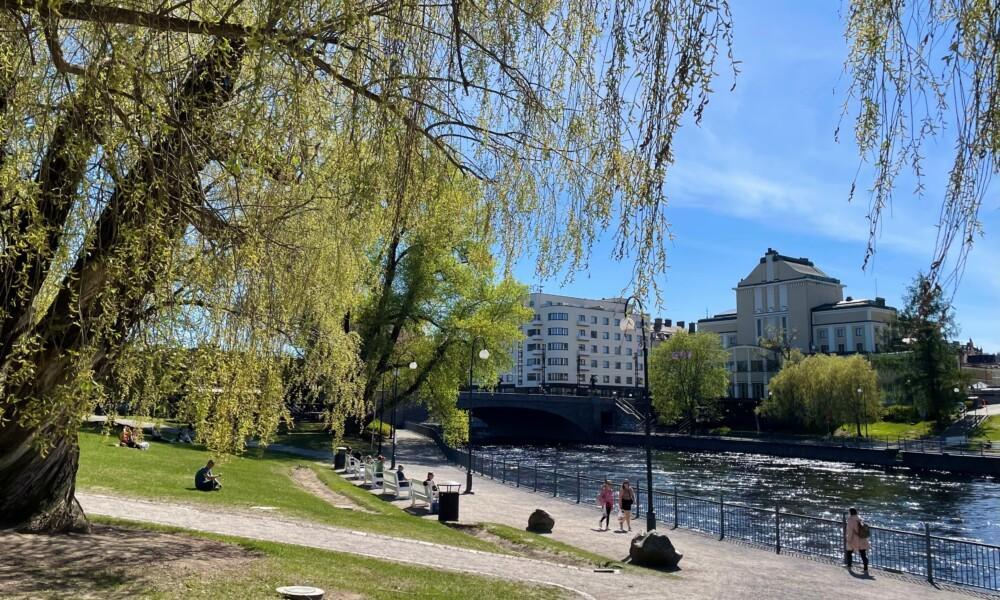 Tampereen Koskipuisto kesällä