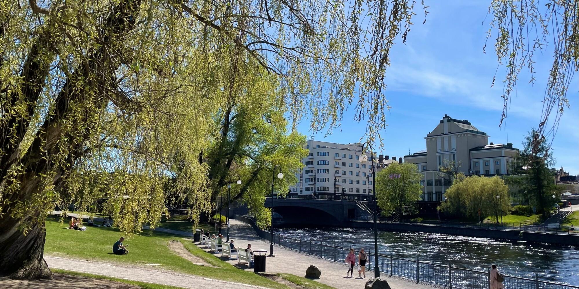 Tampereen Koskipuisto kesällä
